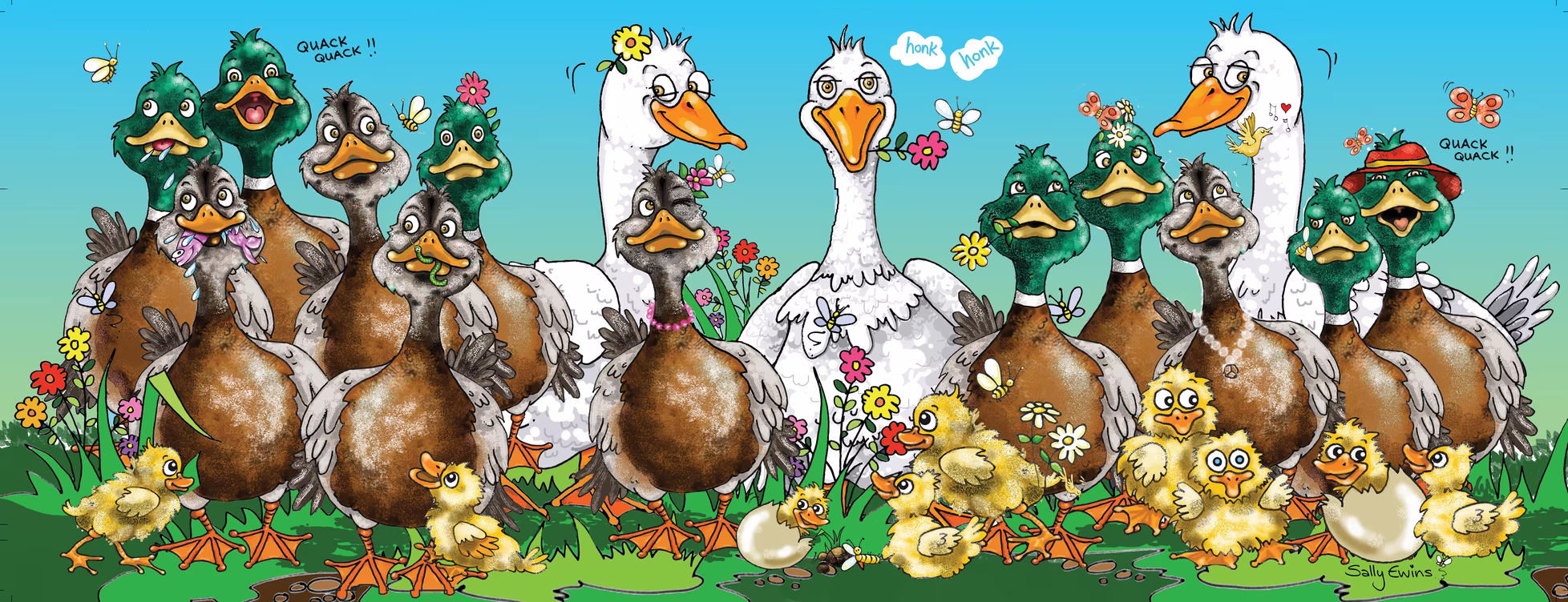 Matiatia ducks and geese artwork